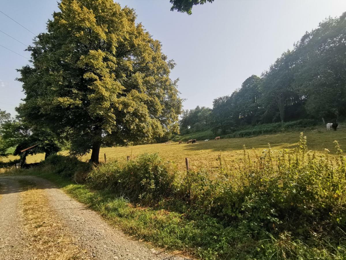 Domaine Lvd Avec Spa, Bois Et Riviere Privee La Bloutiere Экстерьер фото