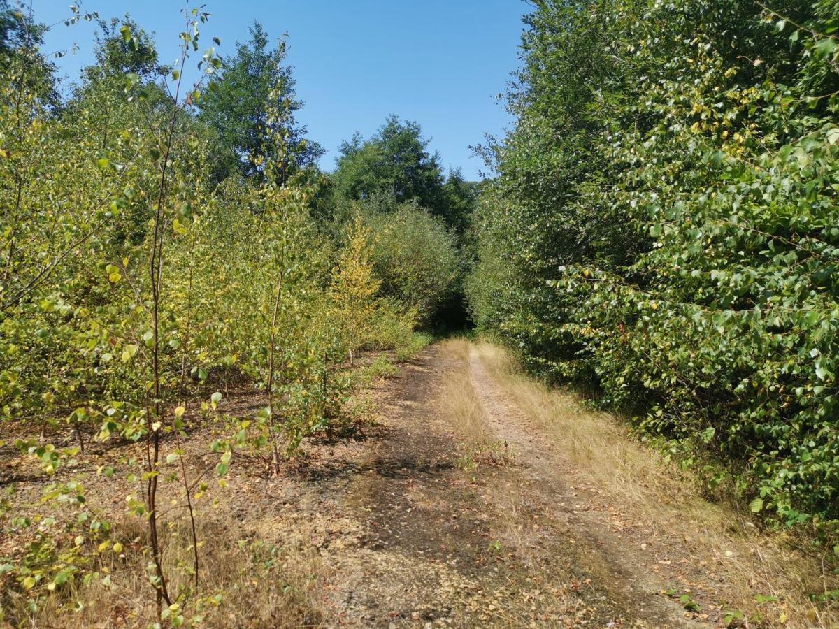 Domaine Lvd Avec Spa, Bois Et Riviere Privee La Bloutiere Экстерьер фото