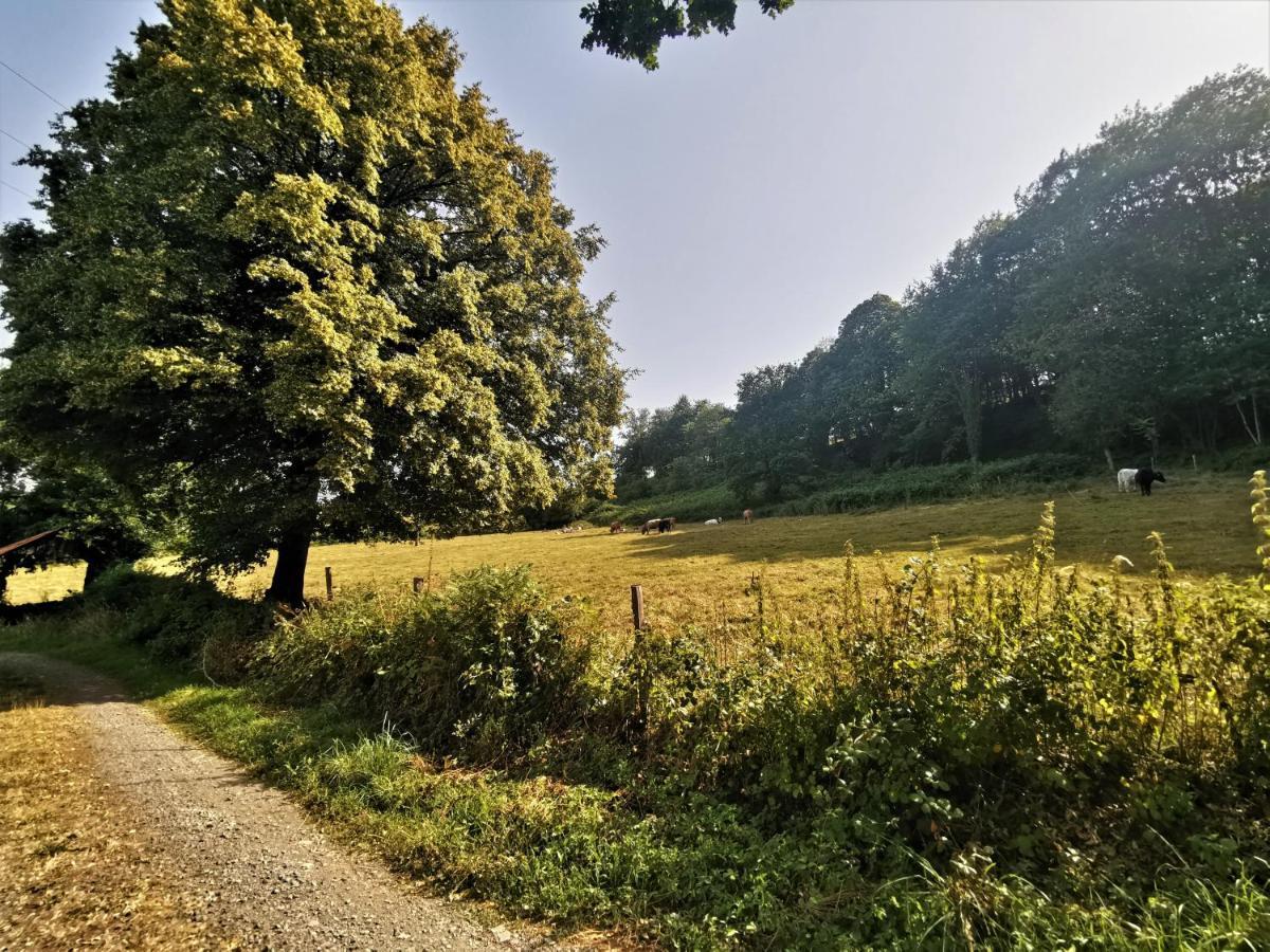 Domaine Lvd Avec Spa, Bois Et Riviere Privee La Bloutiere Экстерьер фото